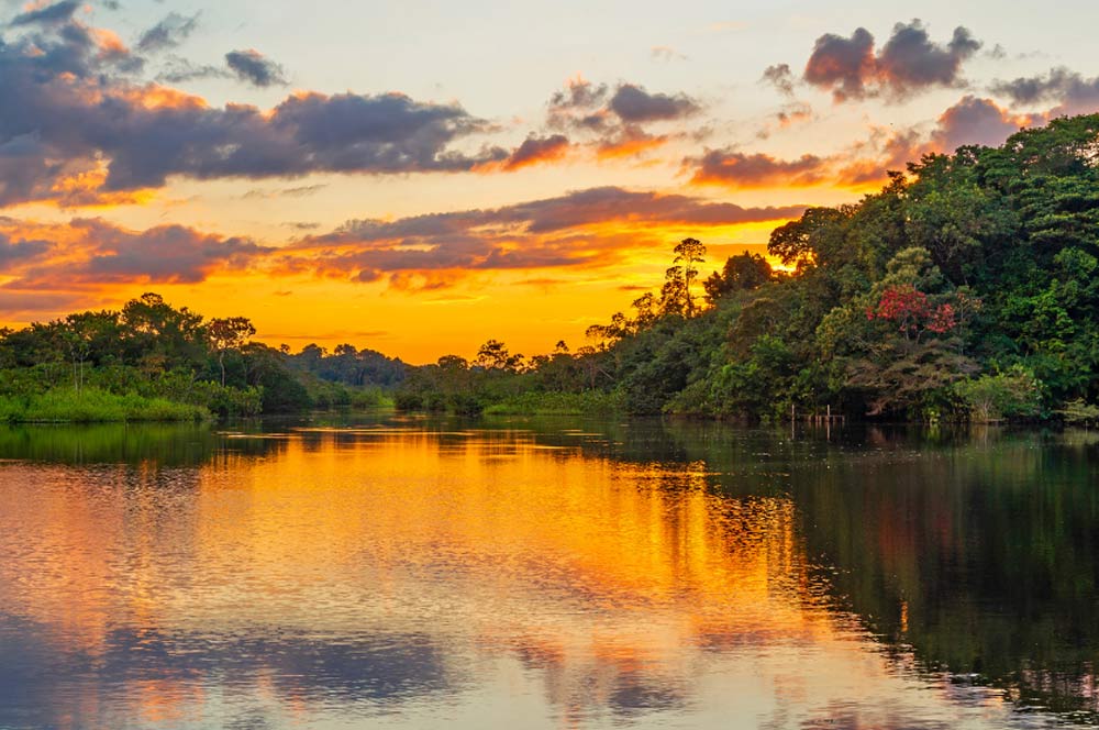 La Importancia de los Derechos de la Naturaleza en Colombia